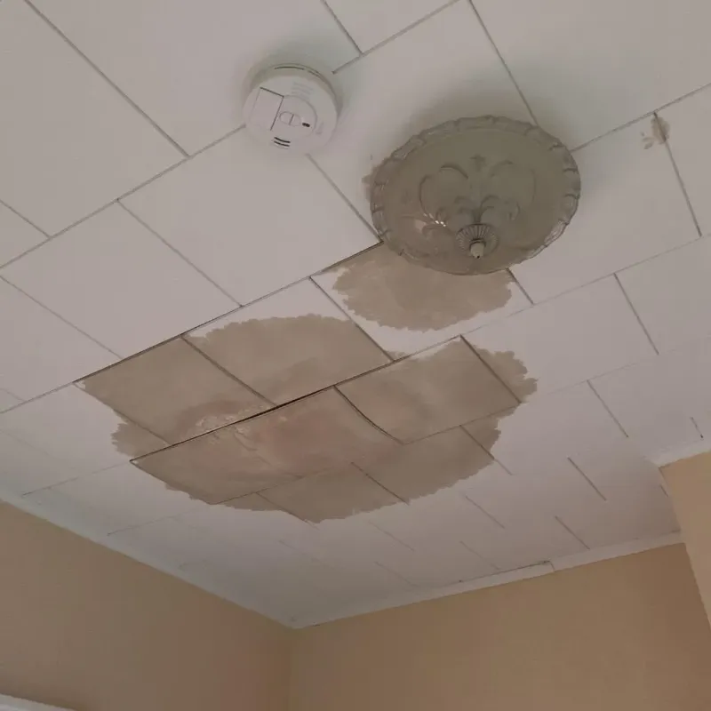 Ceiling Water Damage Repair in Milford, MI