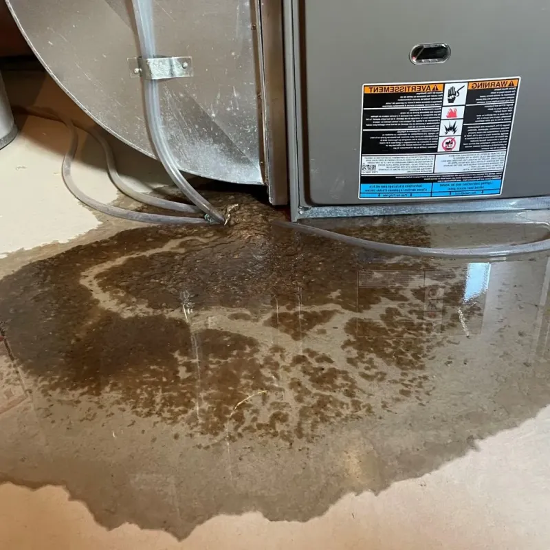 Pipe Burst and Leak Restoration in Milford, MI