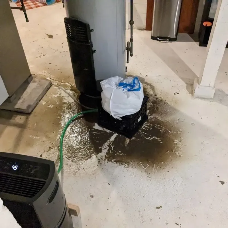 Sewage Backup Cleanup Service in Milford, MI